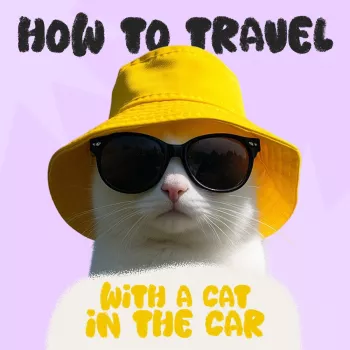 Traveling with a Cat in the Car: Calm Road Trip Guide
