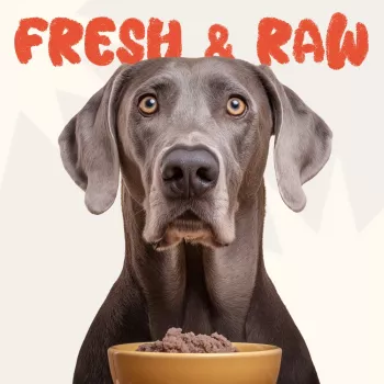 Safe Raw Feeding for Dogs & Cats: Balance, Prep, Transition